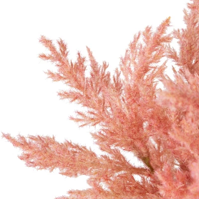 Northlight 12" Pink Cypress Artificial Plant In A Ceramic Pot - Image 5