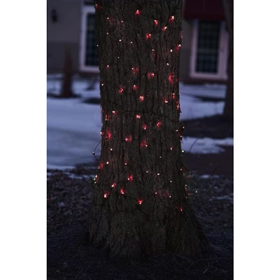 Northlight Mini Net Style Incandescent Christmas Lights - 2' X 8' - Red - Brown Wire - Image 2