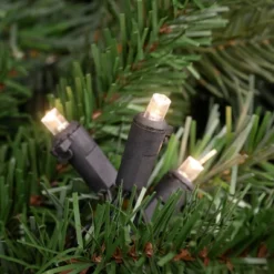 Northlight 50ct Warm White LED Wide Angle Christmas Lights - 16.25ft, Black Wire