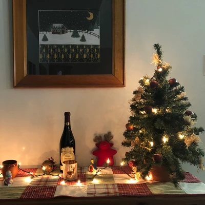 Northlight Mini Christmas Light Set -Clear - 4' Green Wire - 20ct - Image 9