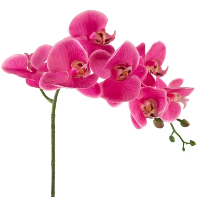 Northlight Real Touch™ Pink Artificial Spring Orchids In A Striped Ceramic Pot 2" - Image 2