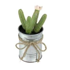 Northlight 6" Columnar Cactus Artificial Potted Plant - Green/Silver
