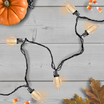 Northlight 25 Count Warm White LED C9 Christmas Lights, 16 Ft Black Wire