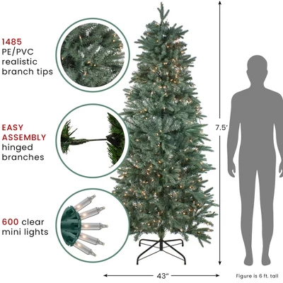 Northlight Real Touch™️ Pre-Lit Washington Frasier Fir Slim Artificial Christmas Tree - 7.5' - Clear Lights - Image 5