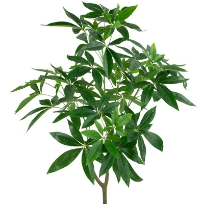 Northlight 4' Artificial Unbraided Potted Green Money Tree - Image 2
