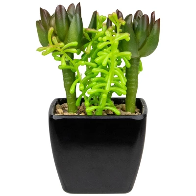 Northlight 6" Potted Green Artificial Succulent Arrangement - Image 5
