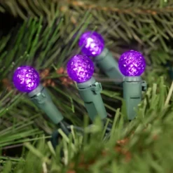 Northlight LED G12 Berry Mini Christmas Lights - Purple - 15.9' - Green Wire - 50ct