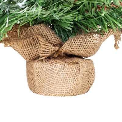 Northlight Whitecap Pine Artificial Mini Christmas Tree - 18" - Unlit - Image 2