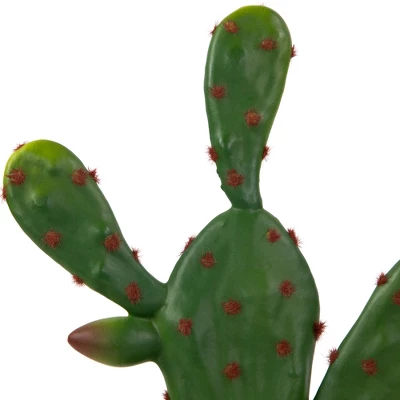 Northlight Real Touch™ Artificial Green And Red Potted Floral Cactus 9.5" - Image 5