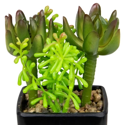Northlight 6" Potted Green Artificial Succulent Arrangement - Image 2