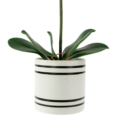 Northlight Real Touch™ Pink Artificial Spring Orchids In A Striped Ceramic Pot 2" - Image 4