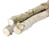 Northlight 38.5" Birch Wood Branch Bundle Christmas Display
