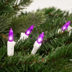 Northlight 50ct LED Mini String Lights Purple - 16.25' White Wire