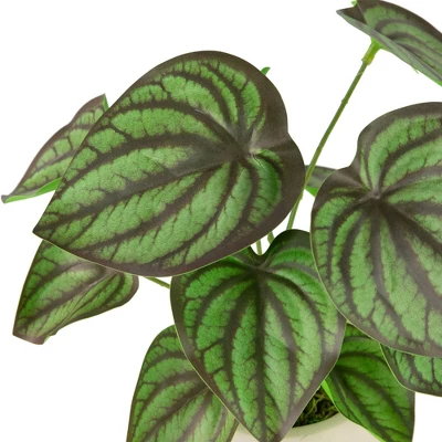 Northlight 10.25" Artificial Peperomia Plant In Two-Tone Ceramic Pot - Image 5