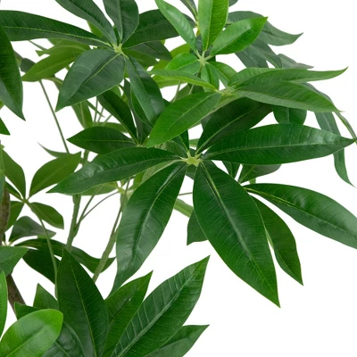 Northlight 4' Artificial Unbraided Potted Green Money Tree - Image 3