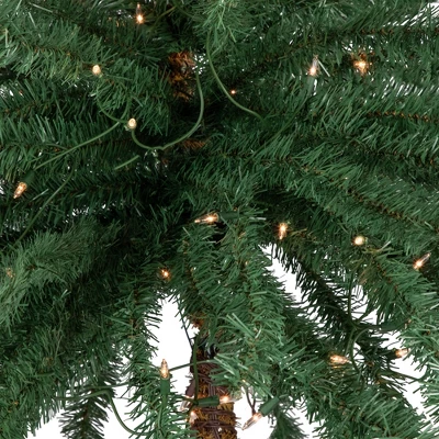 Northlight 6' Pre-Lit Artificial Tropical Outdoor Patio Palm Tree - Clear Lights - Image 2