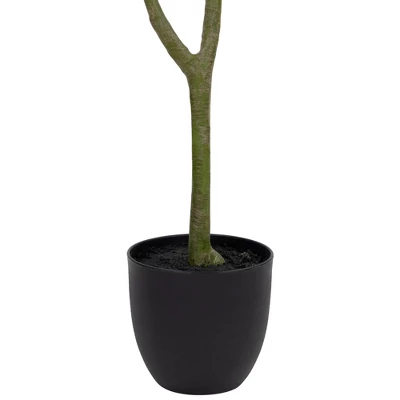 Northlight 4' Artificial Unbraided Potted Green Money Tree - Image 6
