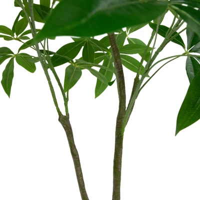 Northlight 4' Artificial Unbraided Potted Green Money Tree - Image 5