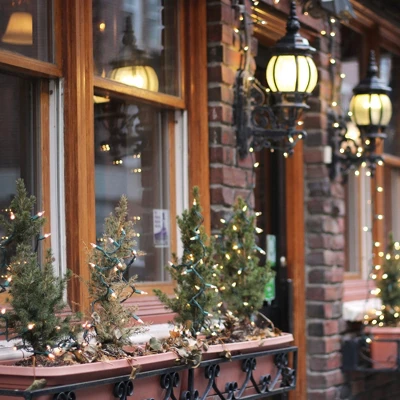 Northlight Mini Christmas Light Set -Clear - 4' Green Wire - 20ct - Image 8