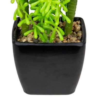 Northlight 6" Potted Green Artificial Succulent Arrangement - Image 3