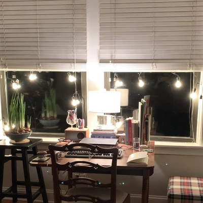 Northlight 15ct Commercial Grade Adjustable Drop Length E17 A Shape Christmas Lights Clear - 21' Black Wire - Image 3