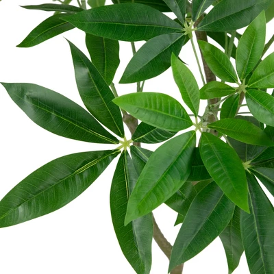 Northlight 4' Artificial Unbraided Potted Green Money Tree - Image 4